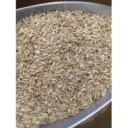 ERBA MAZZOLINA  2.5 KG