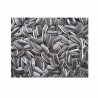 GIRASOLE STRIATO PICCOLO 4 KG