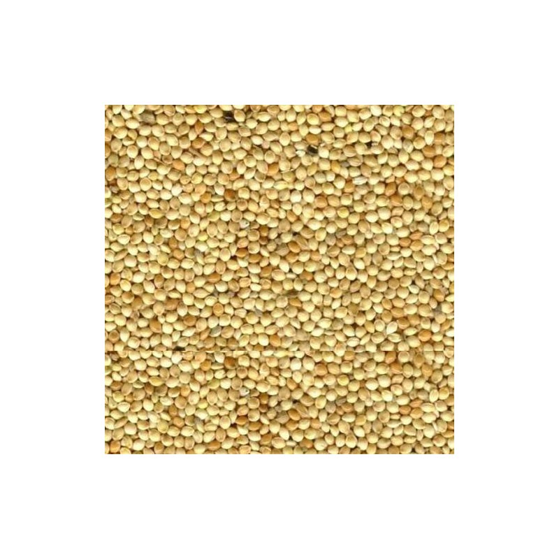 MIGLIO BIANCO  5 KG